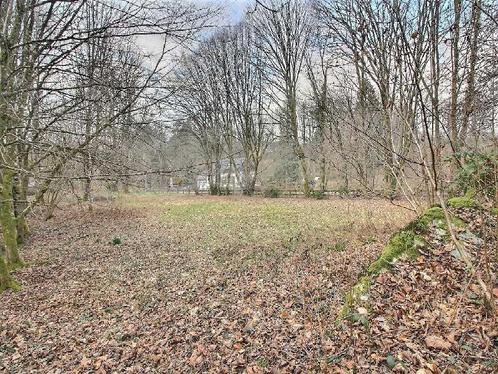 Maison à vendre à Saint-Hubert, Immo, Huizen en Appartementen te koop, Vrijstaande woning