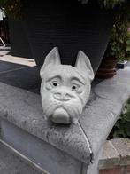 Mooie betonnen kop van hond, Tuin en Terras, Tuinbeelden, Ophalen, Zo goed als nieuw