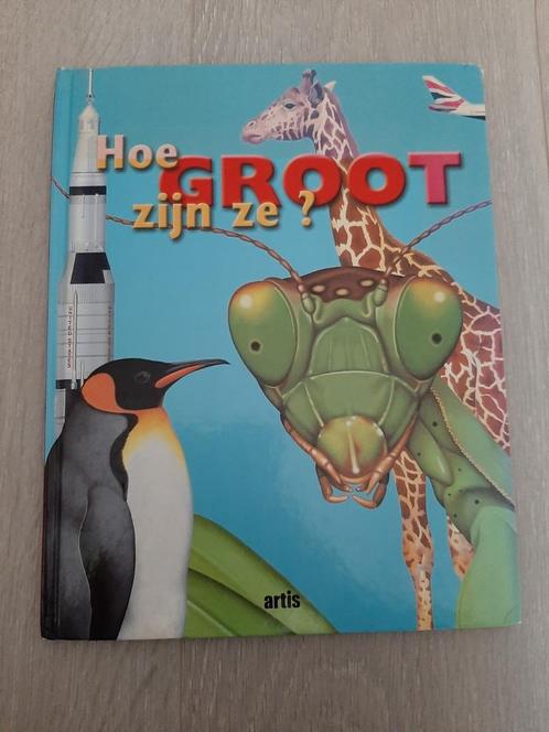 Boek: hoe groot zijn ze?, Boeken, Kinderboeken | Jeugd | onder 10 jaar, Gelezen, Ophalen of Verzenden