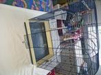 cage pour petits rongeurs, Animaux & Accessoires, Enlèvement, Utilisé, Cage, Moins de 60 cm