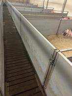 Hokinrichting vleesvarkens [550], Dieren en Toebehoren