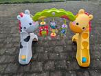 Speelboog baby/peuter FisherPrice, Ophalen, Zo goed als nieuw
