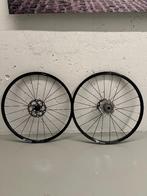 DT Swiss P1800 Spline, Enlèvement, Neuf, Autres types