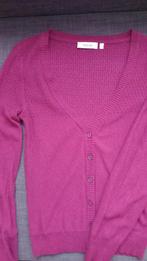 donkerroze truie, Yessica, Maat 34 (XS) of kleiner, Roze, Zo goed als nieuw