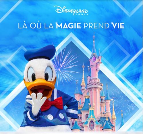 Ticket d'entrée Disneyland Paris FLEX 1 jour 2 parcs, Tickets en Kaartjes, Recreatie | Pretparken en Attractieparken, Eén persoon