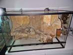 Terrarium 80x50x40, Dieren en Toebehoren, Reptielen en Amfibieën | Toebehoren, Ophalen, Gebruikt