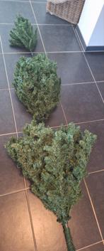 Groot kerstboom, Diversen, Kerst, Ophalen, Zo goed als nieuw