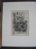 Armand Heins  1856 - 1938   Ets   De Tuin, Antiek en Kunst, Kunst | Etsen en Gravures, Verzenden