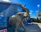 Levensgrote olifant te koop, Ophalen, Gebruikt