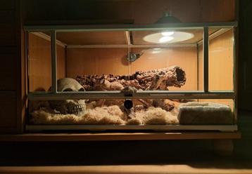 Terrarium Terratlantis Wit 89x45x45 beschikbaar voor biedingen