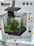 Aquarium, Dieren en Toebehoren, Ophalen, Nieuw, Leeg aquarium