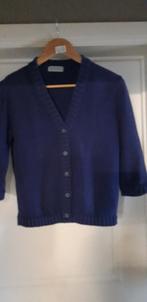 Blauw-paarse gilet Sweater House, Gedragen, Blauw, Ophalen of Verzenden