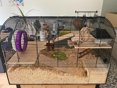 Happy hamster starterkit, Animaux & Accessoires, Rongeurs & Lapins | Cages & Clapiers, Comme neuf, Cage, Moins de 60 cm, Moins de 75 cm