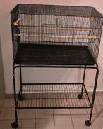 Voegel kooi, Ophalen of Verzenden, Zo goed als nieuw