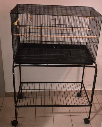 Voegel kooi  beschikbaar voor biedingen