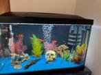 Aquarium te koop, Ophalen, Zo goed als nieuw