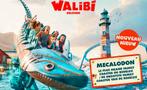 Walibi - Belgium 2x tickets, Tickets en Kaartjes, Recreatie | Pretparken en Attractieparken