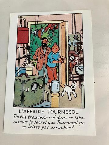 Kaart nr 31 Kuifje zaak  zonnebloem tintin edtion Arno 1984 beschikbaar voor biedingen