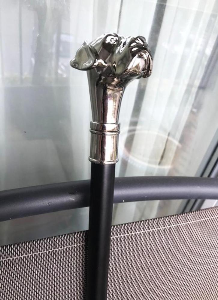 Wandelstok hondenkop verzilverd✨😍🐶🐶😎🤗🎁👌, Diversen, Wandelstokken, Nieuw, Verstelbaar, Opvouwbaar, Ophalen of Verzenden