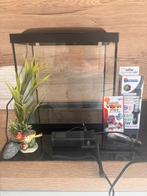 Aquarium Superfish start 70 tropical kit - 58x28x45 - 70 L, Dieren en Toebehoren, Vissen | Aquaria en Toebehoren, Ophalen, Zo goed als nieuw