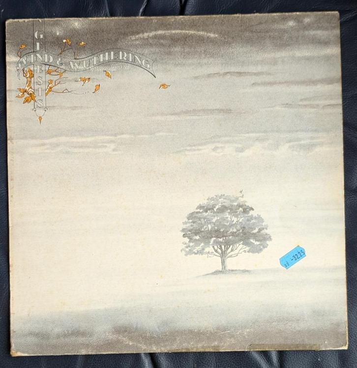 Genesis — Wind & Wuthering - 33T LP-album op vinyl uit 1976, Cd's en Dvd's, Vinyl | Rock, Gebruikt, Progressive, 12 inch, Ophalen of Verzenden