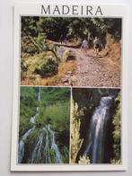 Postkaart Madeira Wandelpad door de bergen, Affranchie, Nature, Enlèvement ou Envoi