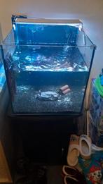 Aquarium te koop, Ophalen