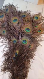 De vraies plumes de paon, Enlèvement, Comme neuf, Intérieur