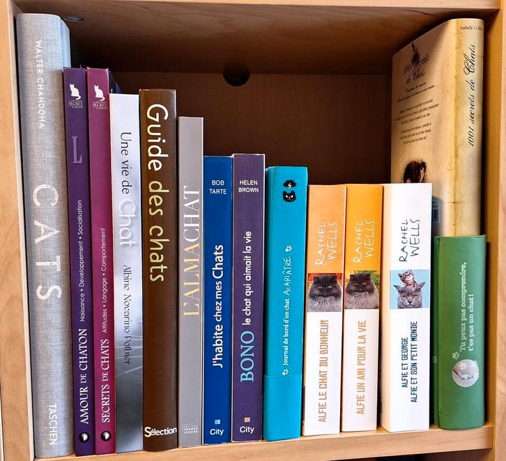 LIVRES thème chat NEUFS, Boeken, Dieren en Huisdieren, Nieuw, Katten, Ophalen of Verzenden