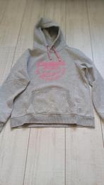Vw splitbus hoodie maat S ,   vw licencie kleding, Ophalen of Verzenden, Zo goed als nieuw, Vw, Meisje