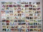 137 prenten chromos Walt Disney chocolade De Beukelaer, Verzamelen, Foto's en Prenten, Ophalen of Verzenden, Gebruikt