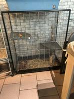 Cage, Animaux & Accessoires