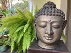 Koper/brons Buddha hoofd, Ophalen