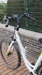 Elektrische fiets Winora, Fietsen en Brommers, 51 tot 55 cm, Ophalen, Gebruikt, 50 km per accu of meer