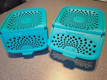 2 ajuin- lookbakjes TUPPERWARE ( nieuw), Enlèvement, Neuf, Vert, Récipient ou Bol