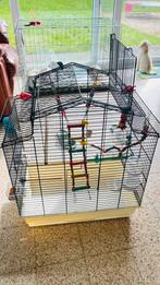 Belle cage, calopsittes, etc., Animaux & Accessoires, Oiseaux | Cages & Volières, Enlèvement, Utilisé, Métal, Cage à oiseaux