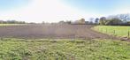 Paardenweide 1,4hA eigen beheer Haasrode, Dieren en Toebehoren, Stalling en Weidegang, Weidegang, 4 paarden of pony's of meer