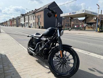 Harley-Davidson Sportster 883 XL883N STRIJKIJZER - Vances&Hi