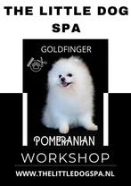 WORKSHOP POMERANIAN - TRIMSALON, Services & Professionnels, Animaux | Chiens | Soins, Dog-sitting & Dressage