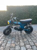 Dax B klasse, Ophalen