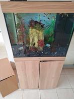 Juwel lido 120, quarantaine bakje 35 liter, Dieren en Toebehoren, Vissen | Aquaria en Toebehoren, Ophalen, Zo goed als nieuw