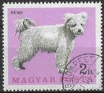 Hongarije 1966 - Yvert 1907 - Verschillende Honden (ST), Postzegels en Munten, Verzenden, Gestempeld