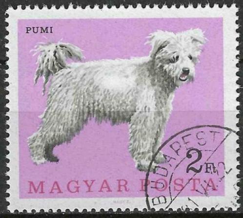 Hongarije 1966 - Yvert 1907 - Verschillende Honden (ST), Timbres & Monnaies, Timbres | Europe | Hongrie, Affranchi, Envoi