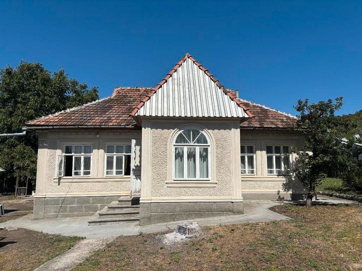 Huis in Moldavië / House in Moldova, Immo, Huizen en Appartementen te koop, 1500 m² of meer