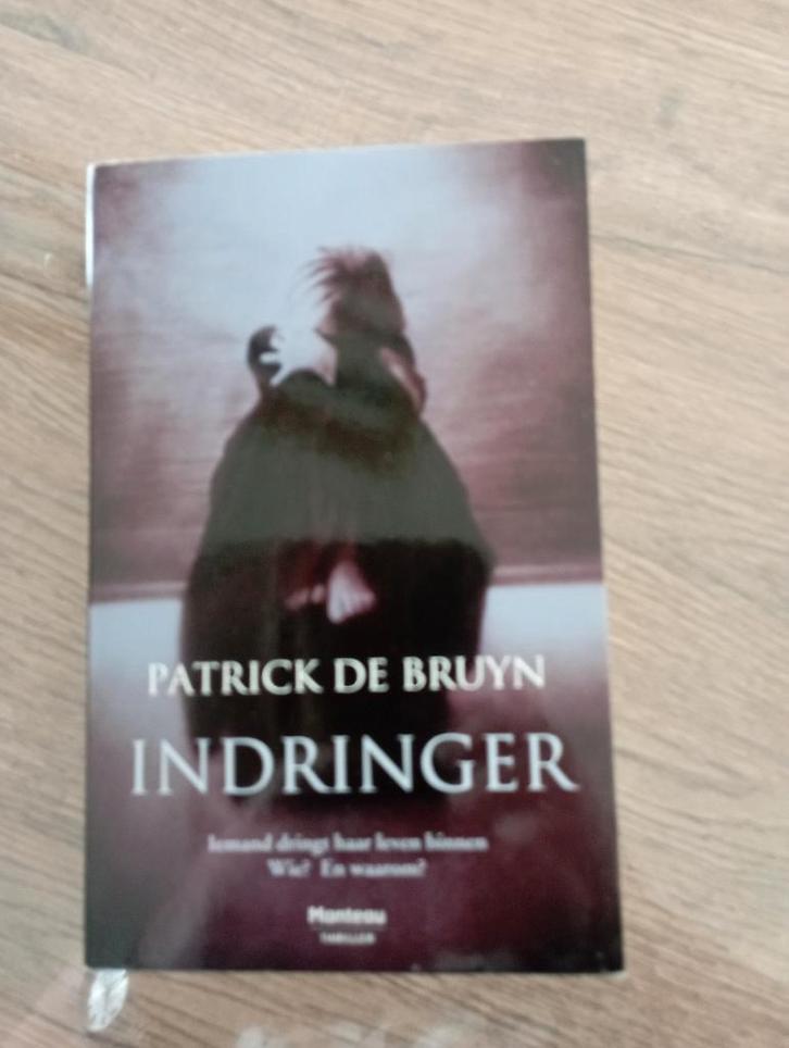 Indringer - Patrick De Bruyn (thriller), Boeken, Thrillers, Zo goed als nieuw, Ophalen of Verzenden