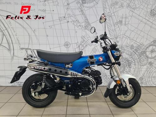 Honda Dax 125, Motos, Motos | Honda, Entreprise, Autre, jusqu'à 11 kW, 1 cylindre