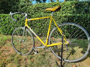 Eddy Merckx retro koersfiets beschikbaar voor biedingen