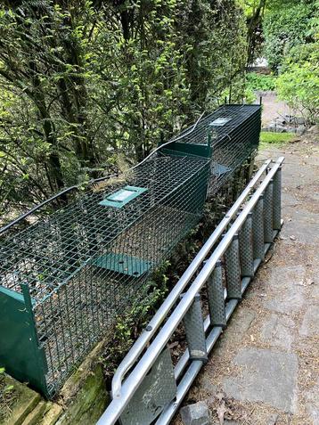 Ratten val gratis, Dieren en Toebehoren, Overige typen, Minder dan 75 cm, Zo goed als nieuw, Ophalen