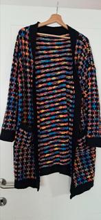 Leuke kleurrijke vest - gilet met zakken., Kleding | Dames, Grote Maten, Ophalen of Verzenden, Gedragen