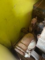 Ijzerzaag , waterpomp , moter met hydro pomp ,, Doe-het-zelf en Bouw, Ophalen, Gebruikt, Overige typen, 1400 tot 1800 rpm